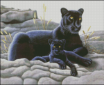 (image for) Black Panther and Cub
